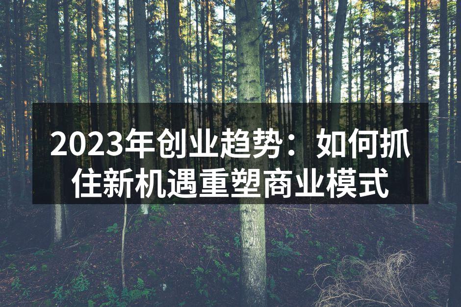 2023年创业趋势：如何抓住新机遇重塑商业模式